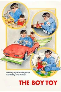 Cover of The Boy toy