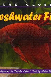 Freshwater fish