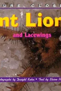 Ant lions and lacewings