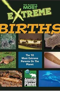 Extreme births