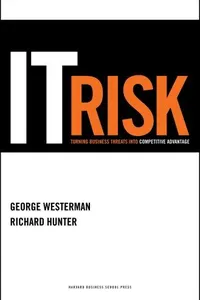 IT risk