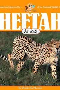 Cheetahs for kids