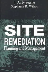 Site remediation planning and management