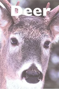 Cover of Deer
