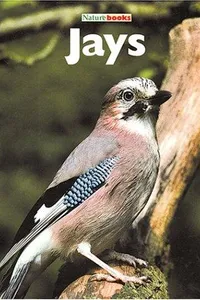 Jays