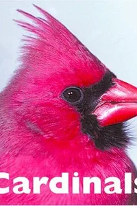 Cardinals