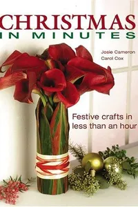 Christmas in minutes
