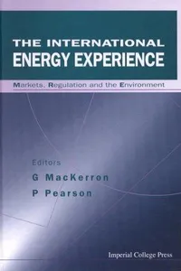 The international energy experience