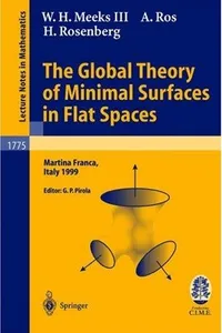 The global theory of minimal surfaces in flat spaces