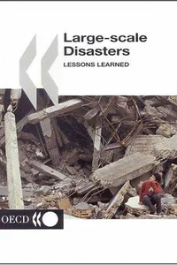 Large-scale disasters
