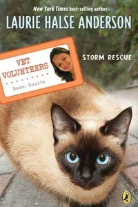 Storm Rescue #6 (Vet Volunteers)