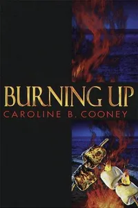 Cover of Burning Up