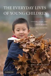 The Everyday Lives of Young Children
