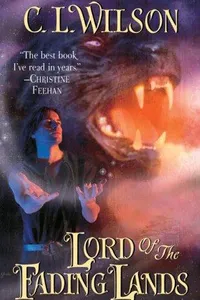 Lord of the fading lands