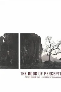 The Book of Perceptions