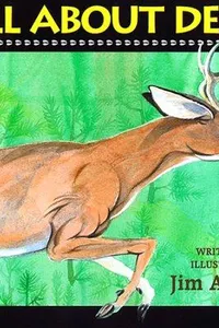 All about Deer