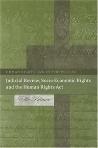 Judicial Review, Socio-economic Rights And the Human Rights Act (Human Rights Law in Perspective)