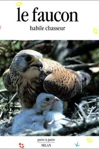 Le faucon