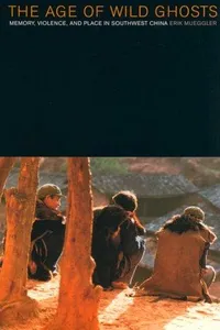 The Age of Wild Ghosts