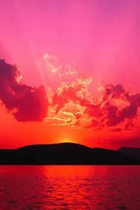 Durkheim (Founders of Modern Political and Social Thought)