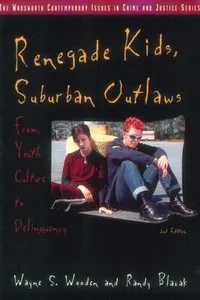Renegade kids, suburban outlaws
