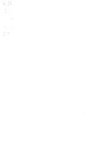 Calon Arang dalam tradisi Bali