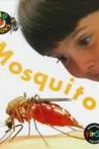 Mosquito