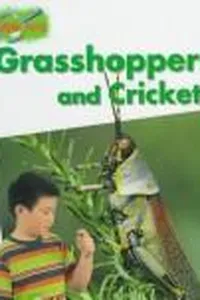 Grasshoppers and crickets