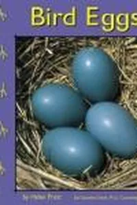Bird eggs