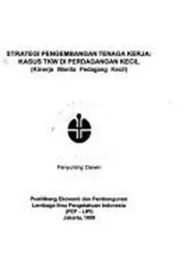 Strategi pengembangan tenaga kerja