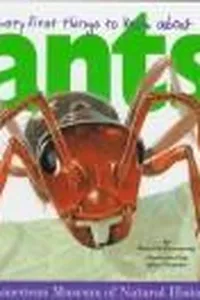 Very first things to know about ants