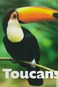 Capa de Toucans