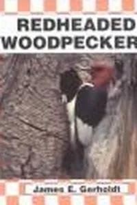 Red-headed woodpeckers