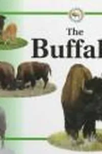 The buffalo