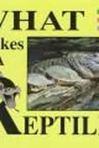 What makes a reptile?