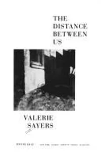 Cover of The distance between us