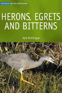 Herons, egrets and bitterns