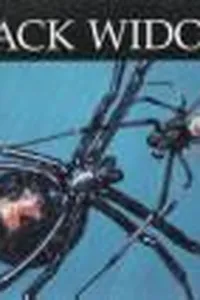 Black widows