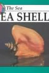 Sea shells