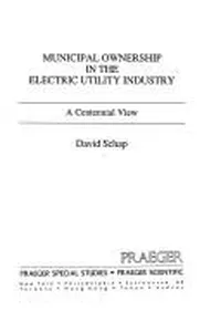 Municipal ownership in the electric utility industry