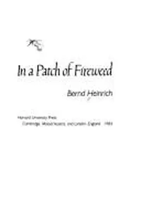 In a patch of fireweed