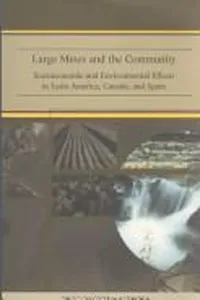Large mines and the community
