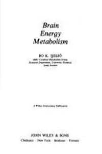 Brain energy metabolism