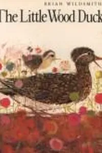 The Little Wood Duck