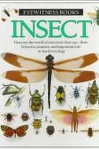 Insect