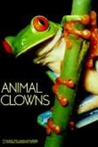 Animal clowns