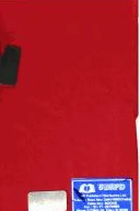 South and Southeast Asia in the 1990s