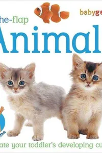 Cover of Lift-the-Flap by DK Publishing