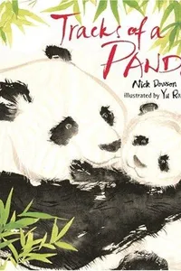 Tracks of a Panda