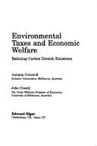 Environmental taxes and economic welfare